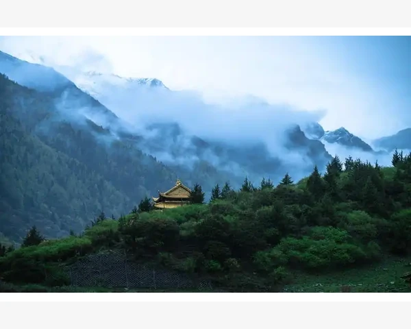 调理经络，点亮身体健康之路